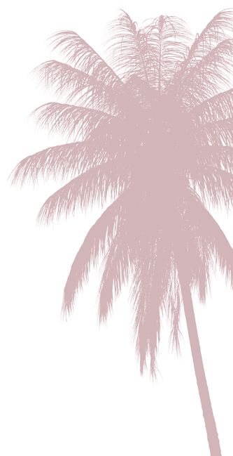 Palm Tree